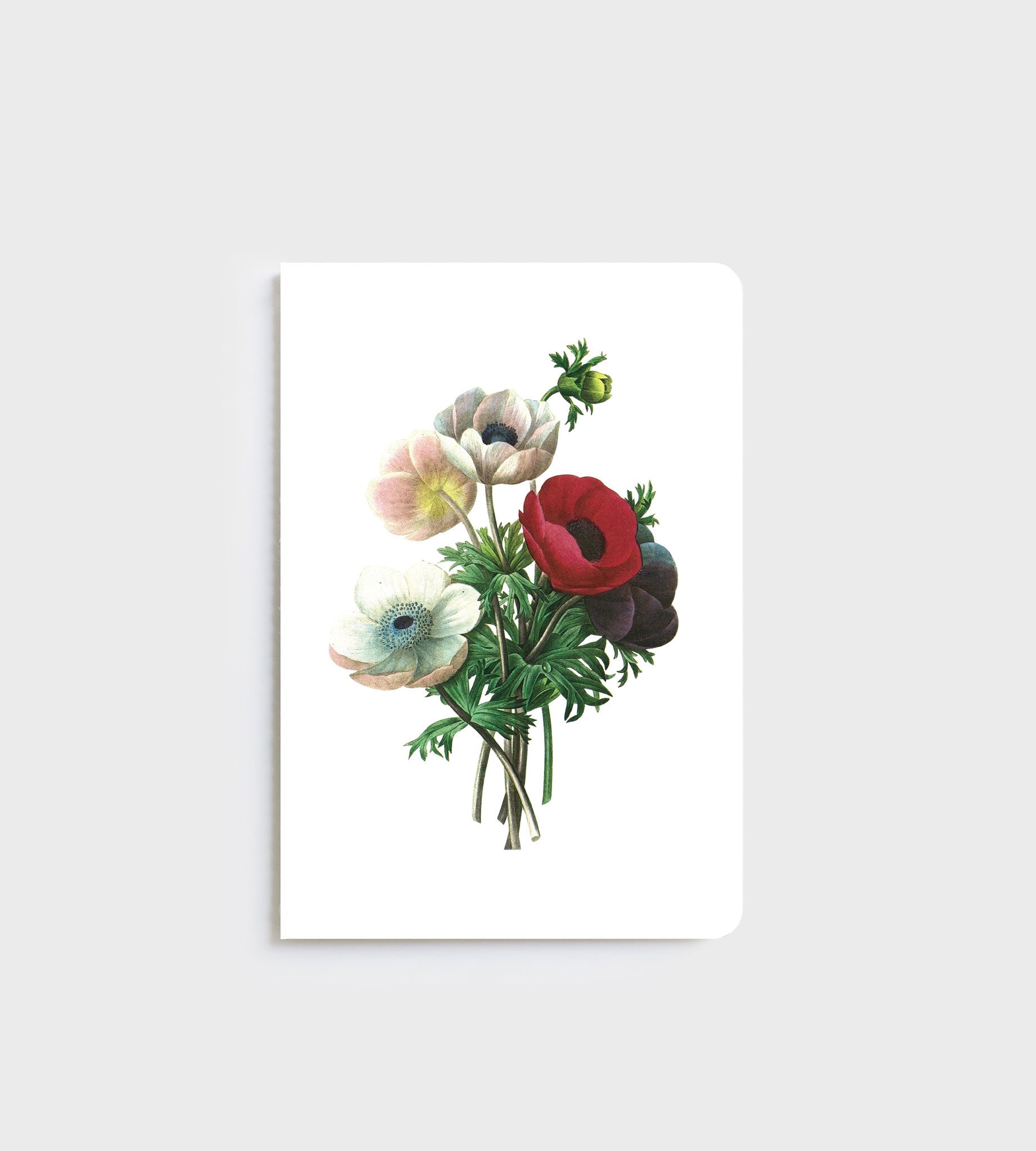 Lettuce A5 Notebook in Anemone design with 80 ruled pages, designed in New Zealand