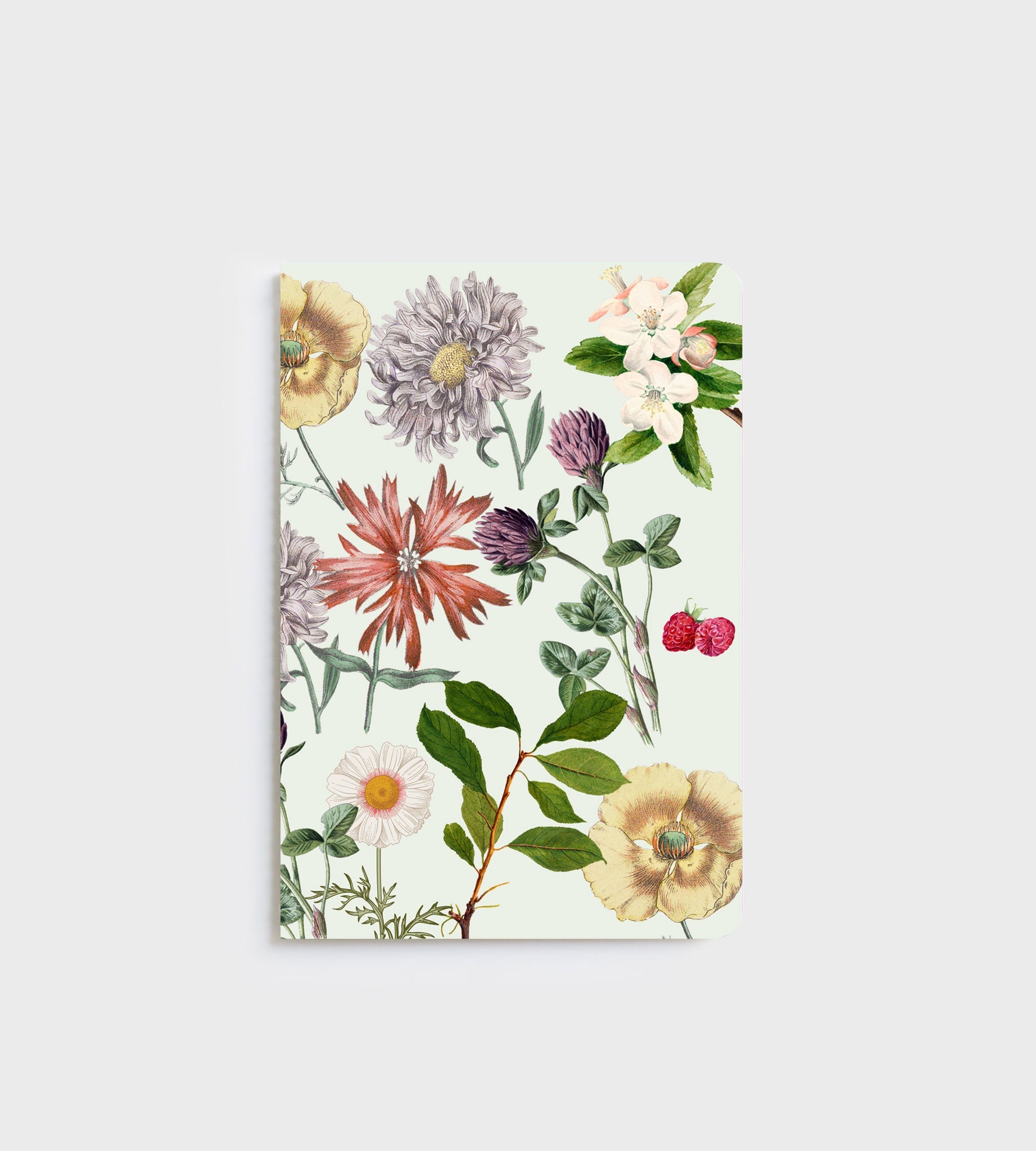 Lettuce A5 Notebook in Berry & Bloom design with 80 ruled pages, designed in New Zealand