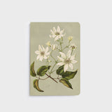 Lettuce A5 Notebook in Clematis Indivisa design with 80 ruled pages, designed in New Zealand