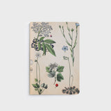 Lettuce A5 Notebook in Field Botany design with 80 ruled pages, designed in New Zealand