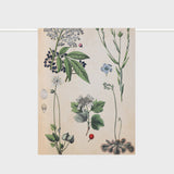 Lettuce Field Botany 100% linen tea towel featuring botanical floral artwork