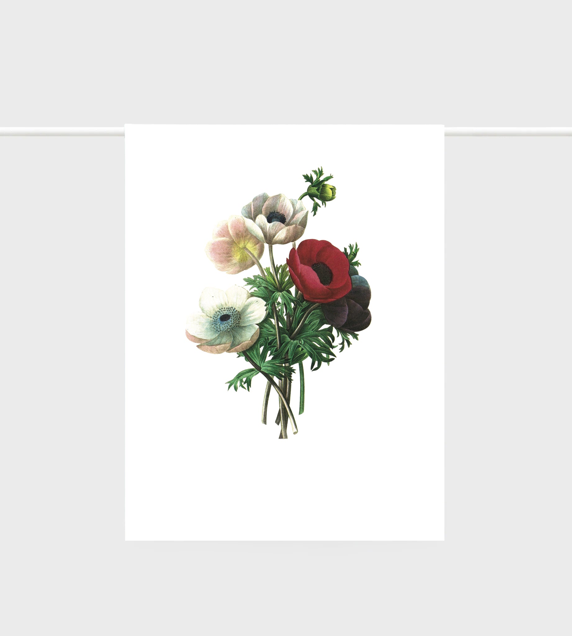 Lettuce Anemone 100% linen tea towel featuring delicate flower artwork