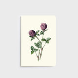 Lettuce A5 Notebook in Red Meadow Clover design with 80 ruled pages, designed in New Zealand