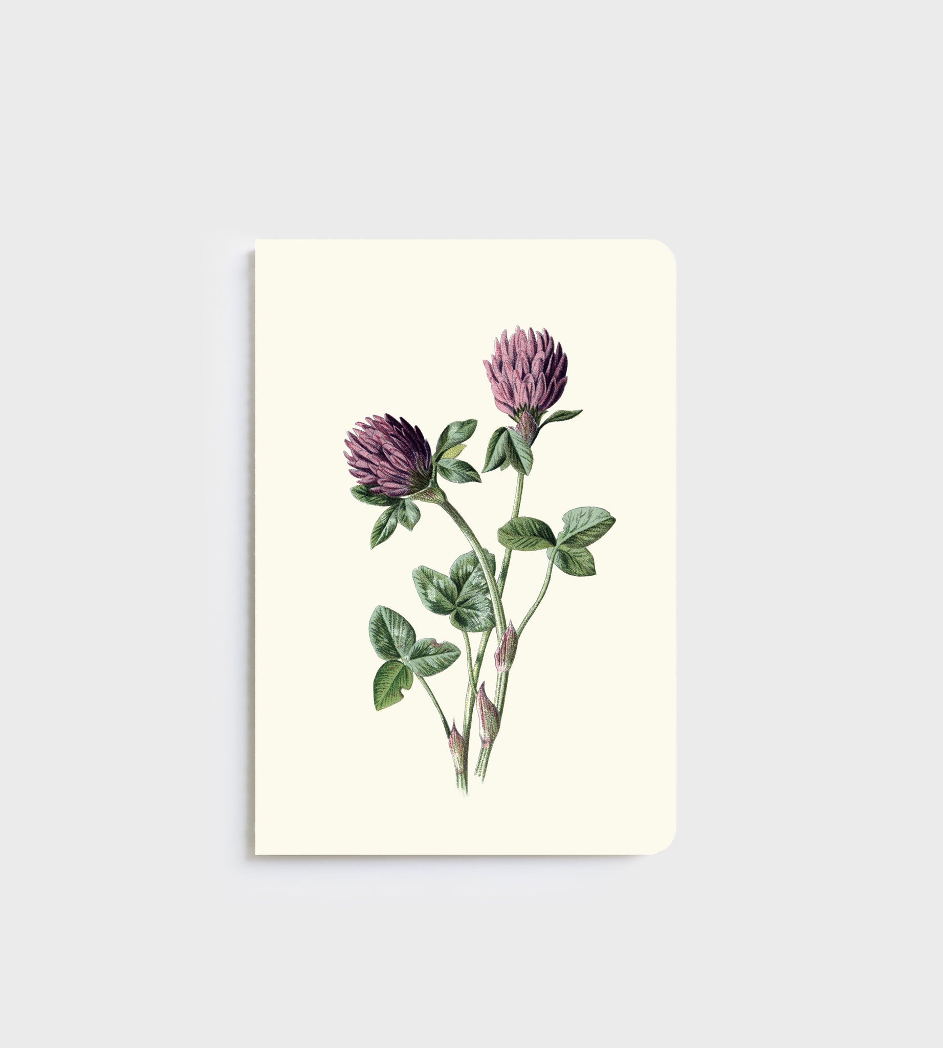 Lettuce A5 Notebook in Red Meadow Clover design with 80 ruled pages, designed in New Zealand